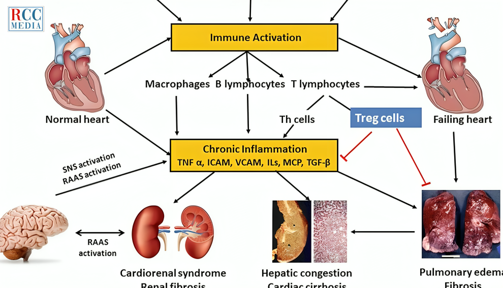 captura de pantalla 2025 10 01 a la(s) 1.16.34 p. m.